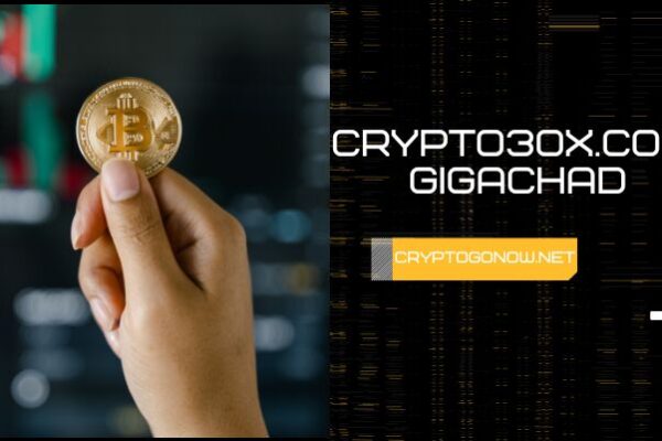 Crypto30x.com Gigachad