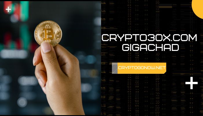 Crypto30x.com Gigachad