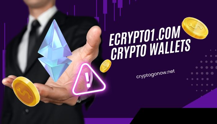 Ecrypto1.com Crypto Wallets